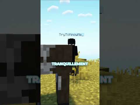 ⬆️ Rejoins le Discord en bio - Je pensais connaitre minecraft et j'ai découvert ce serveur minecraft