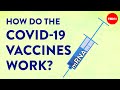 Understanding mRNA Vaccines