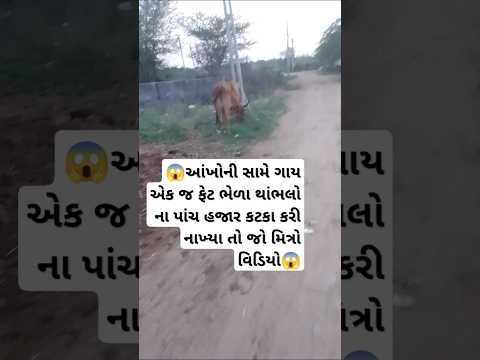 เชฎเซเช เชฎเซเชเชฎเชพเช เชฅเชพเชเชญเชฒเซ เชจเชพ 5000 เชเชเชเชพ เชเชฐเซ เชจเชพเชเซเชฏเชพ เชเชพเชฏเซ เชเซเชตเซ #trading #shortvideos #cow #viralvideos