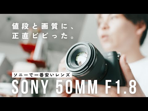 ソニーで一番安いレンズはホントに使える？Sony 50mm F1.8を買ってみたらその描写にビビった…！