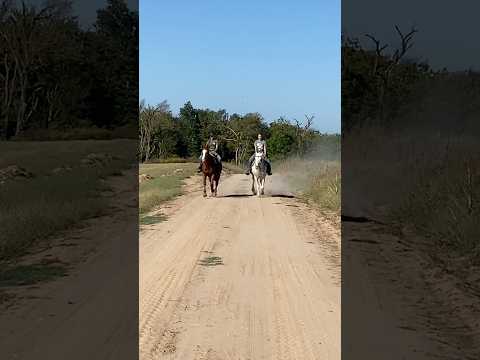 The best trail ride with @CollectHorsemanship! 😍💞 #mustanghorse #equestrian