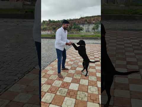 वय वर्ष ३२, अजून लग्न झालं नाही त्याचे परिणाम... #comedy #viral #trendingshorts #marriage #friends