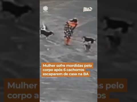 Mulher sofre mordidas pelo corpo após 6 cachorros escaparem de uma casa na BA #Shorts #FalaBrasil