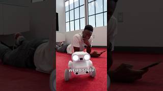 The Wildest Camera Robot