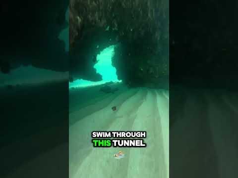 Bonus points if you yell “Shark!”, beforehand #cliffjumping