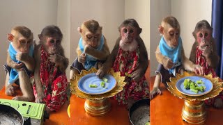 This evening, the little monkey ate vegetables