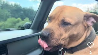 Ovi’s Big Adventure!