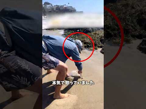 恐ろしい砂ノミ😭