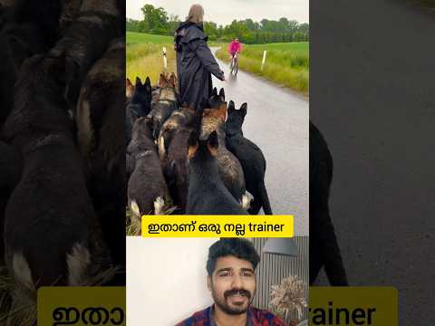 ഒരു dog ട്രെയിനറും കുട്ടികളും🥰 #shorts #reaction #dog #training