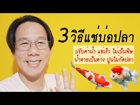 3วิธีแช่บ่อปลาปรับค่าpHไม่เป็นพิษกับปลาบ่อเลี้ยงปลาที่ทำเสร็