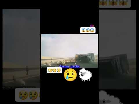 Не могу посмотреть до конца 😱😭😭