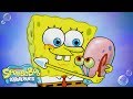 SpongeBob and Gary's Relationship Dynamics