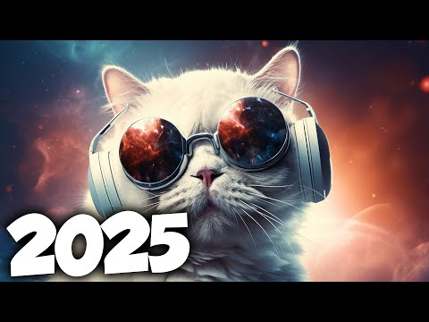 MÚSICA ELETRÔNICA 2025 🔥 AS MÚSICAS ELETRÔNICAS MAIS TOCADAS 🔥 Alok, Vintage Culture & David Guetta