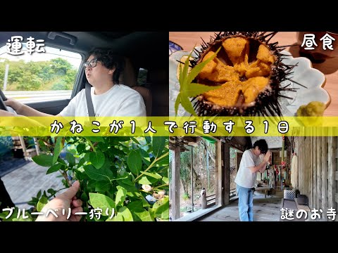 メインチャンネル撮影後の謎行動をおさめました。