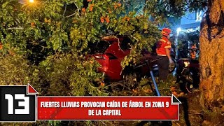 Fuertes lluvias provocan caída de árbol en Zona 9 de la capital
