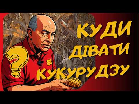 Крах чи шанс? Як зберегти кукурудзу без експорту