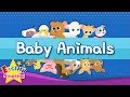 Names for Baby Animals