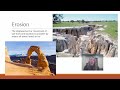 Weathering, Soil Horizons, and Ecosystem Functions
