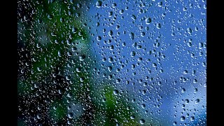 ⚡ Heavy Rain & Thunderstorm Sounds for Sleep, Relaxation, and Focus | Vibing with Nature LIVE