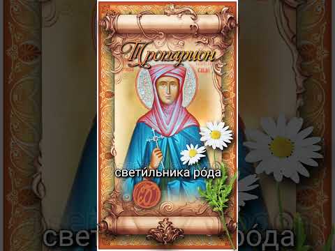 4 июля Прп. Анастасия, мать свт. Саввы первого архиепископа Сербского (ок. 1200г)