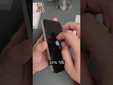 아이폰15프로 티타늄 불량 유리 교체 후기