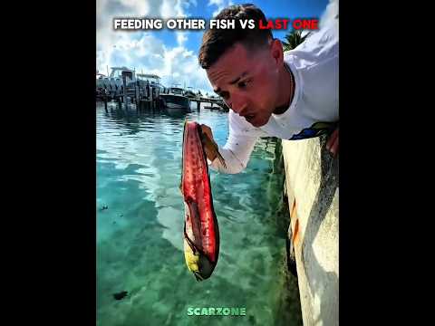 Feeding Other Fish vs The Last One #shorts #trollface #fyp #usa #newyork