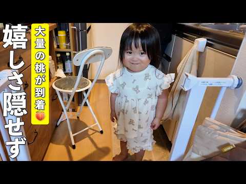 桃が食べられる嬉しさを隠しきれない2歳児が可愛すぎました笑