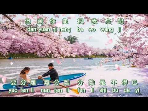 Nan Fen Li {難分離} karaoke no vocal female nada sedang  女版伴奏中音 key -2