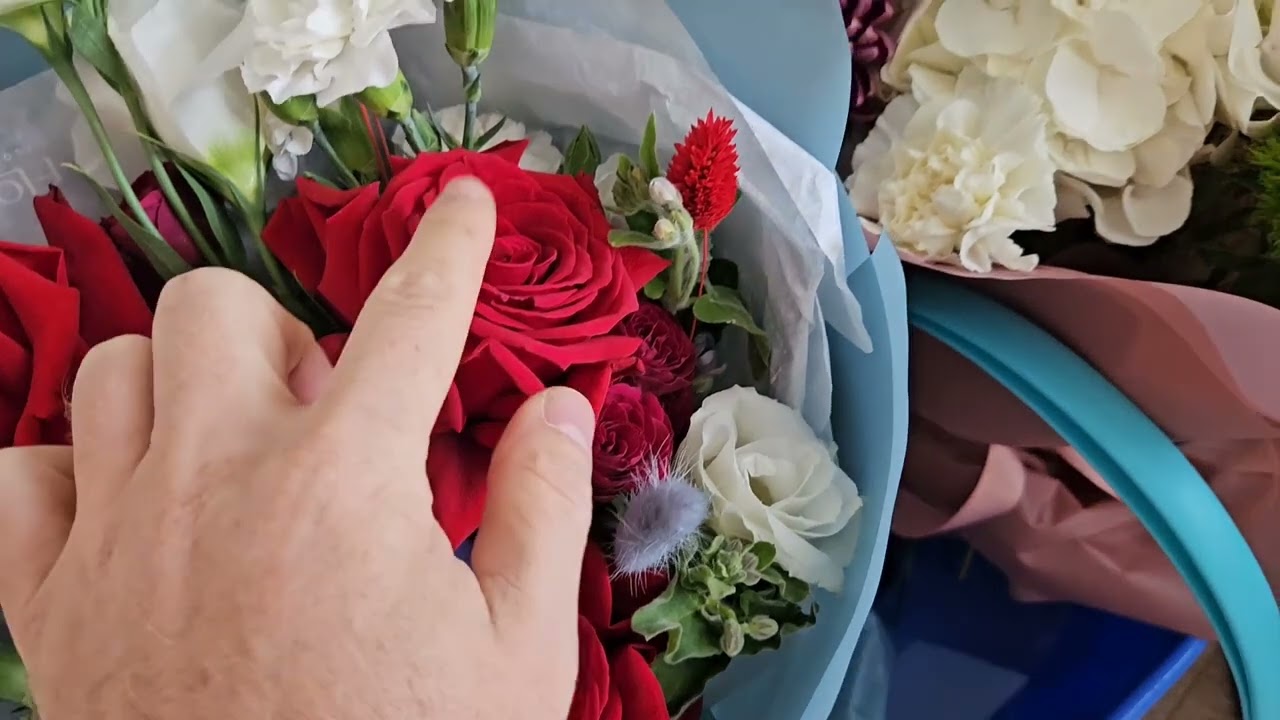 Что ира имела ввиду я не понял