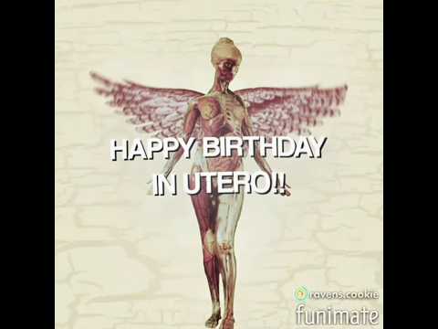 #INUTERO - im a lil late but happy bday to my fav album! - #nirvana #grunge #xyzbca