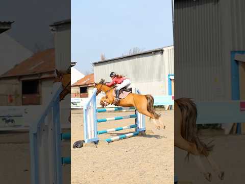 Did she really just jump double clear and win? 😭♥️🫶🏻 #horse #equestrian #lifeisbutadream