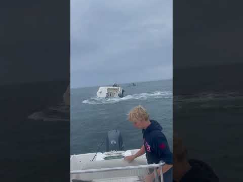 Whale nearly CAPSIZES boat!!!