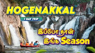 Unexplored Hogenakkal Falls Full Travel Guide | Parisal Ride, Massage, Fish Curry & Hidden Spots!