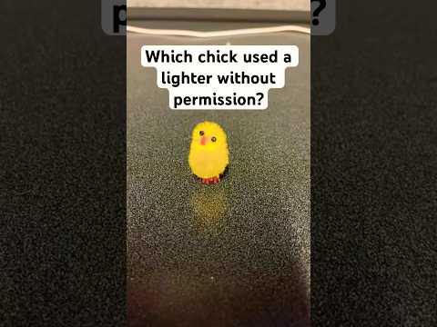 Which chicken used a lighter without permission?