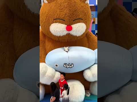 القط المشاكس #viral