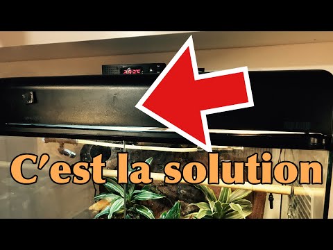 Terrarium exo terra : solution contre les fuites d’insectes