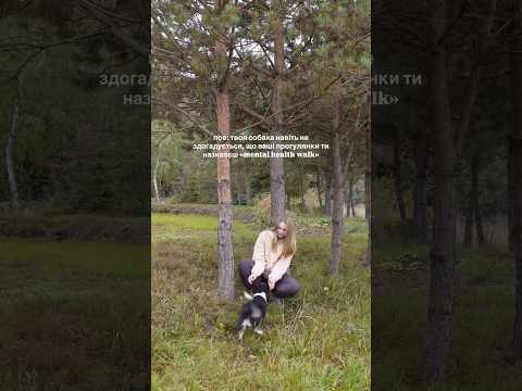 Моя собака навіть не здогадується про це😅