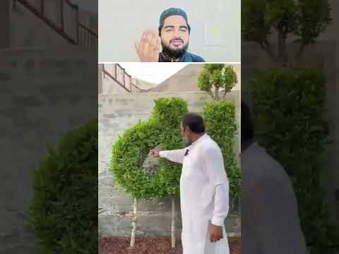 Ped Ki Pattiyun Se Allah Ka Name Likhaya 😍