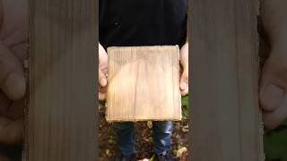 Making bulletproof-er wood