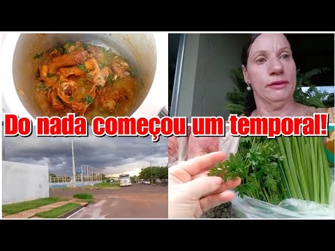 COMO ELE FICOU SEM PELOS + DEVEMOS ENTREGAR O NOSSO MELHOR! Vlog ❤️