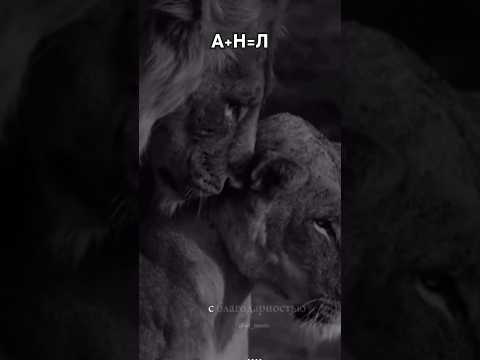 #ислам #субханаллах #flowers #дуа #love #любовь #цветы #жизнь