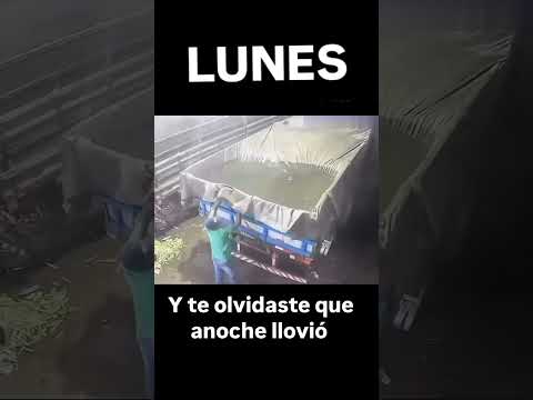 #lunes #siemprelimacion