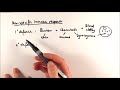 Immune Response Mechanisms and Functions