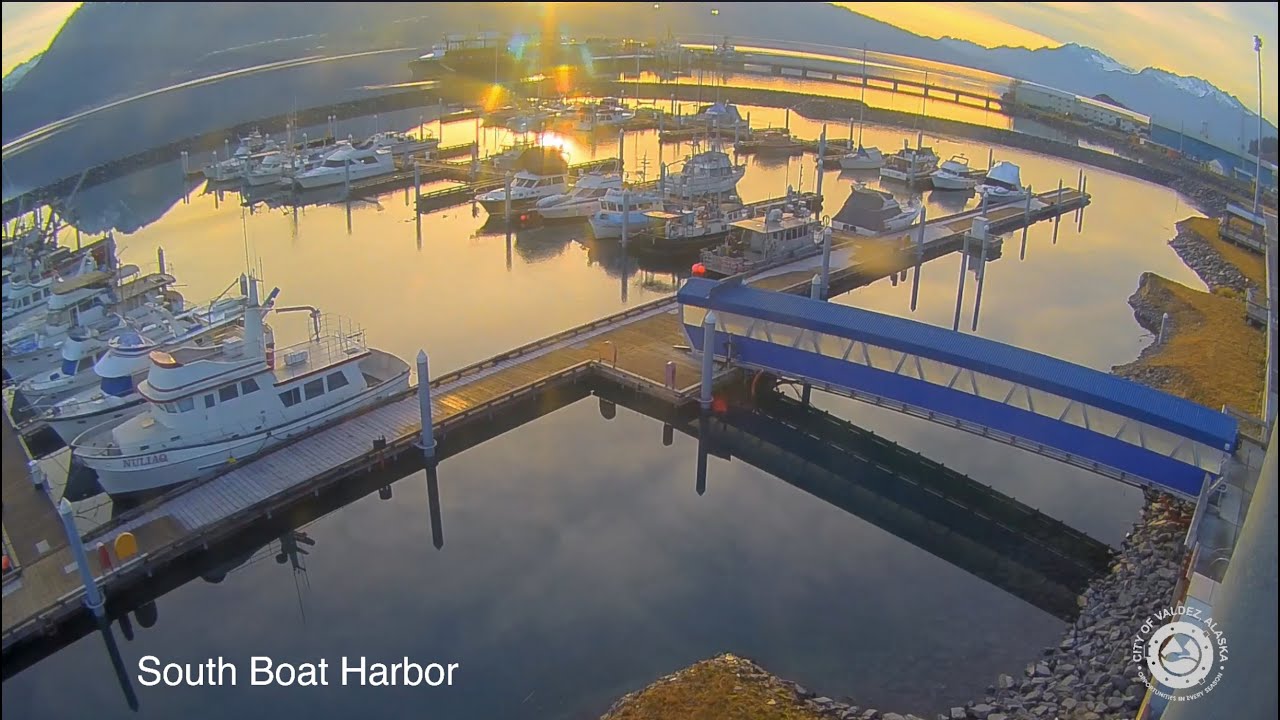 Valdez Port webcam