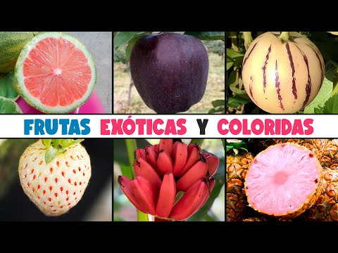 FRUTAS con una APARIENCIA EXTRAÑA Y DELICIOSAS