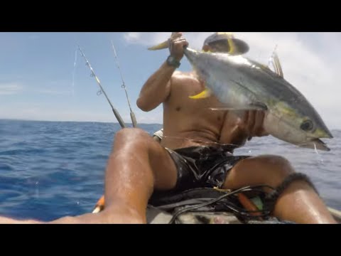Where The Wild Tingz Stay: Body-Hooked Yellowfin – Tail Grab Boost & Boatside Chaos!
