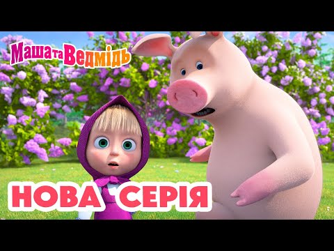 Маша та Ведмідь 💥 Нова серія 💥 Пікнік у бузкових тонах 🪻💜 Збірник серій