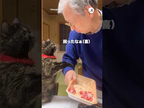 猫の動画サムネイル - 【喜】困ってるお父さん｜PECO