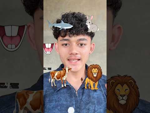 gigik hewan yang mana nih?🤔