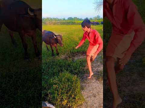 funny comedy 🤣😂 #bollywood #love #dance #shortfeed #funny #vikramcomedy #music